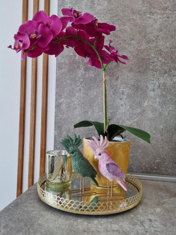 Apartment "50 Shades" With Balcony And Free Parking In The Garage Zadar Ngoại thất bức ảnh
